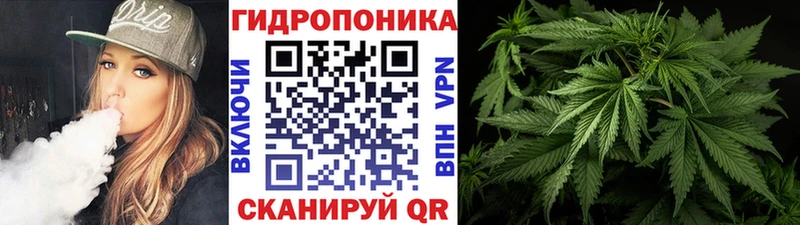 Виды наркотиков купить Жуковский СОЛЬ Кокаин OMG ССЫЛКА Меф мяу мяу Конопля ГАШ