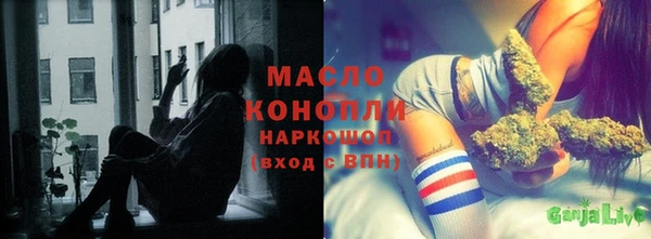молекула духа Фёдоровский