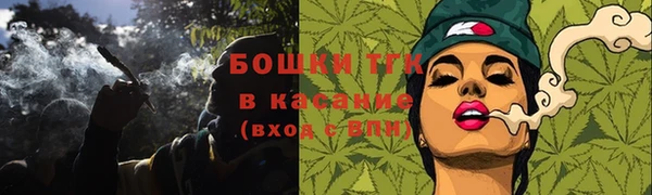 сатива Нестеровская