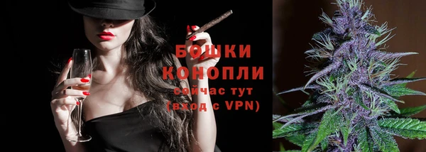 молекула духа Фёдоровский