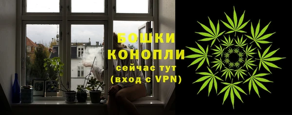 дурь Калининец