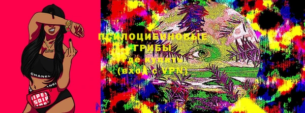 сатива Нестеровская