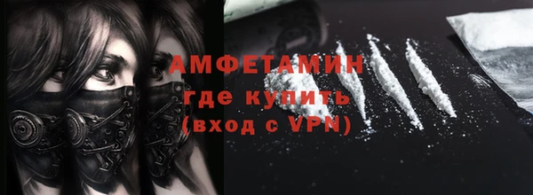 сатива Нестеровская