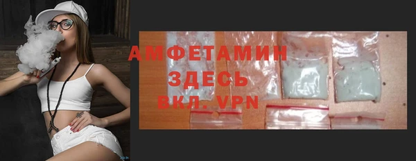 молекула духа Фёдоровский
