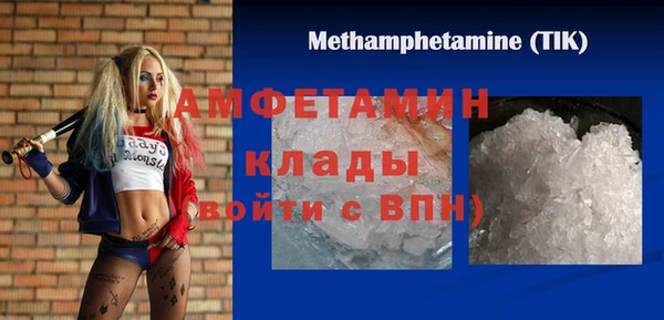 молекула духа Фёдоровский