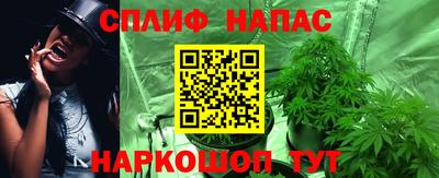 кокс Гай