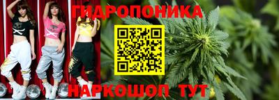 кокс Гай