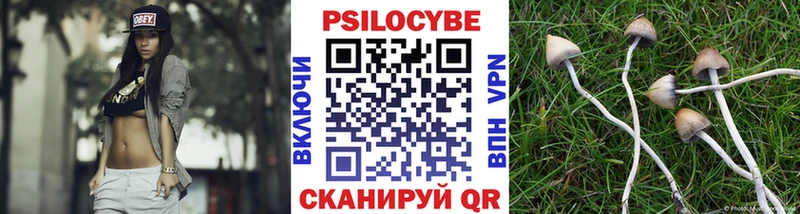 купить наркотики цена  Жуковский  МЕГА вход  это какой сайт  Галлюциногенные грибы Psilocybe 