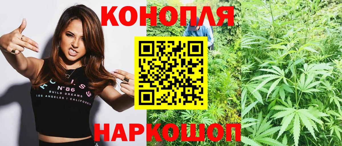 Шишки марихуана семена Жуковский
